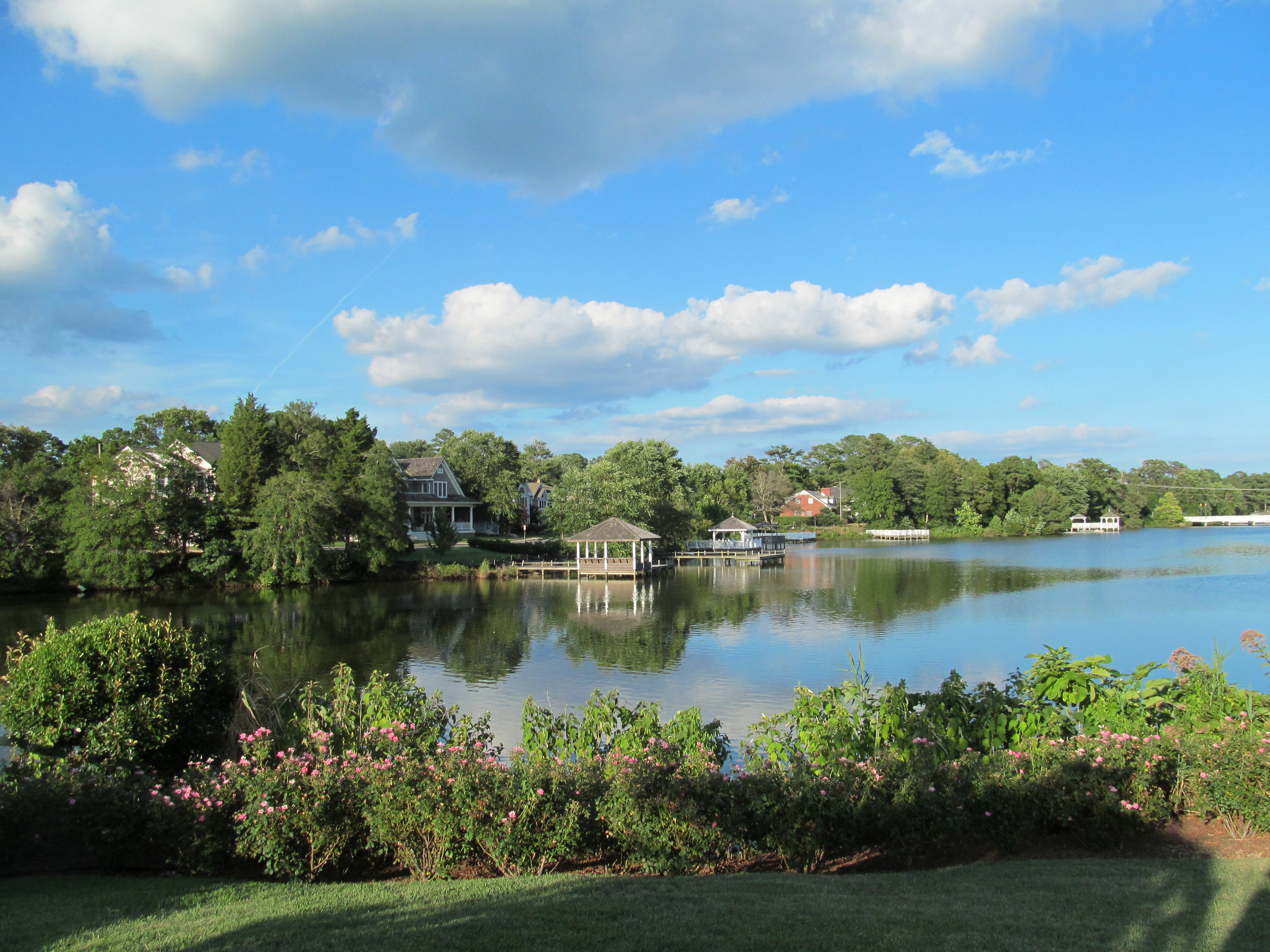 So perfect it looks like a painting