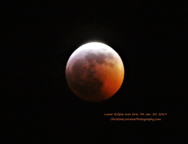 P1040312 (2) blood moon lunar eclipse ChristineLorrainePhotography 012019