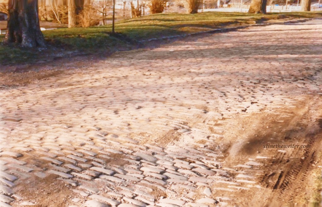 Take a look at what was said to be the oldest street in Erie before it was removed for development.